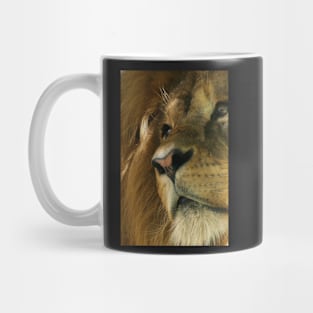 Lion head close-up Mug